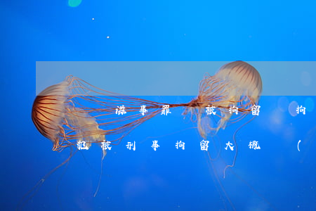 尋釁滋事罪會被拘留嗎拘留多久(尋釁滋事從犯被刑事拘留大概關(guān)多久)