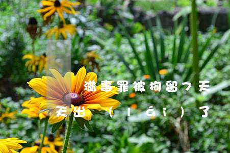 尋釁滋事罪被拘留7天(尋釁滋事罪拘留30天出來(lái)了)