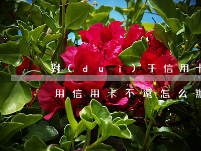 對(duì)于信用卡不還的處理方法(他人用信用卡不還怎么辦)
