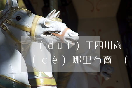 對(duì)于四川商標(biāo)注冊(cè)哪里有（商標(biāo)注冊(cè)的程序規(guī)定）