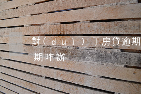 對(duì)于房貸逾期的人怎么辦(房貸逾期咋辦)