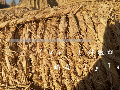 對(duì)付老公決絕離婚的絕招(老公決絕離婚我應(yīng)該怎么辦)