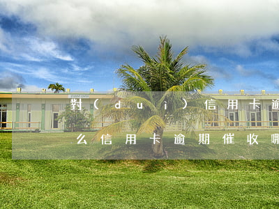 對(duì)信用卡逾期催收這種工作好干么（信用卡逾期催收哪些話不能說(shuō)）