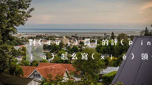 對(duì)員工的評(píng)價(jià)怎么寫(xiě)(領(lǐng)導(dǎo)對(duì)員工的評(píng)價(jià)怎么寫(xiě))