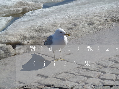 對(duì)執(zhí)行異議的處理結(jié)果