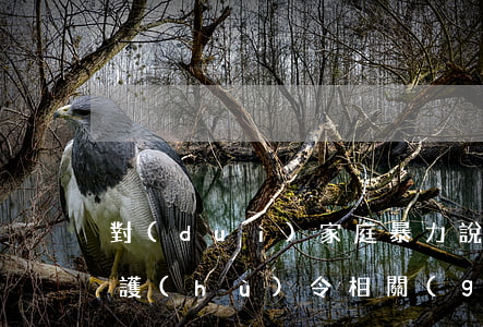 對(duì)家庭暴力說“不” ！——人身安全保護(hù)令相關(guān)裁判規(guī)則8條