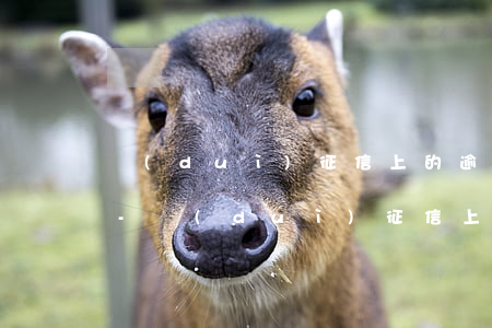 對(duì)征信上的逾期金額不清楚找誰-對(duì)征信上的逾期金額不清楚找誰解決