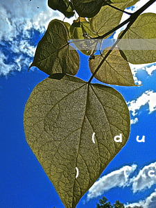 對(duì)擔(dān)保人財(cái)產(chǎn)可以訴訟保全嗎(訴訟保全需要提供等額財(cái)產(chǎn)擔(dān)保嗎)