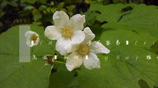 對(duì)方不容易協(xié)商還款怎么說，如何優(yōu)雅地處理對(duì)方不愿意協(xié)商還款的情況