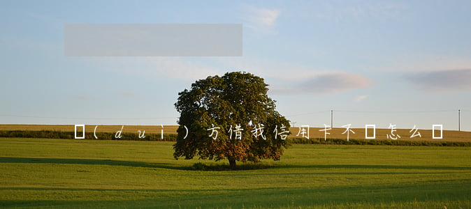 對(duì)方借我信用卡不還怎么辦