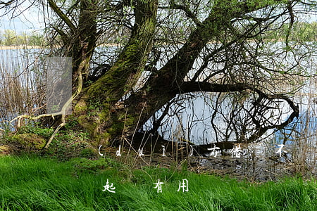 對(duì)方借錢不還起訴有用嗎(借錢不還起訴有用嗎?)