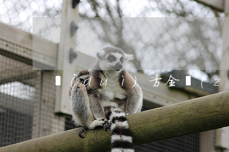 對(duì)方全責(zé)不賠償怎么辦