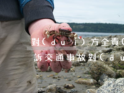 對(duì)方全責(zé)不賠錢 怎么起訴(交通事故對(duì)方全責(zé)不賠償怎么起訴)