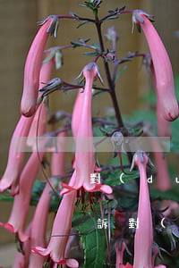 對(duì)方全責(zé)不賠錢 怎么起訴(對(duì)方全責(zé)到法院了也不賠錢)