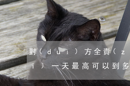 對(duì)方全責(zé)交通費(fèi)一天最高可以到多少?(交通事故對(duì)方全責(zé)一般多少錢)