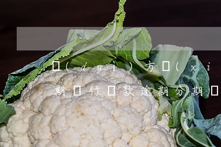 對(duì)方協(xié)議分期還款逾期(銀行貸款逾期分期還款協(xié)議)
