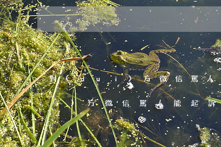 對(duì)方微信罵人能起訴嗎(對(duì)方微信罵人能起訴嗎怎么處理)