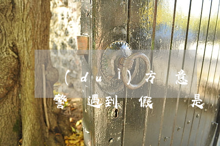 對(duì)方惡意訴訟可以報(bào)警嗎(遇到虛假訴訟是報(bào)警還是找法院)