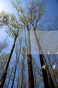 對(duì)方拖著不肯離婚怎么辦(雙方要離婚,男方拖著不同意,要去哪里解決)
