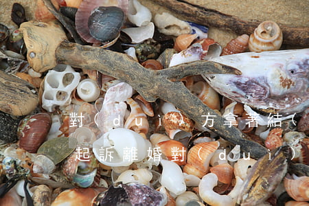 對(duì)方拿著結(jié)婚證如何起訴離婚(對(duì)方拿著結(jié)婚證如何起訴離婚)