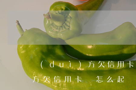對(duì)方欠信用卡錢-對(duì)方欠信用卡錢怎么起訴