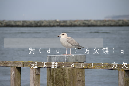 對(duì)方欠錢(qián)不還哪里起訴(對(duì)方欠錢(qián)不還怎么走法律程序)