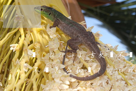 對(duì)方欠錢不還怎么起訴(別人欠錢不還怎么在網(wǎng)上起訴)