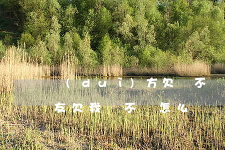 對(duì)方欠錢不還沒有借條怎么辦(朋友欠我錢不還怎么辦沒有借條)
