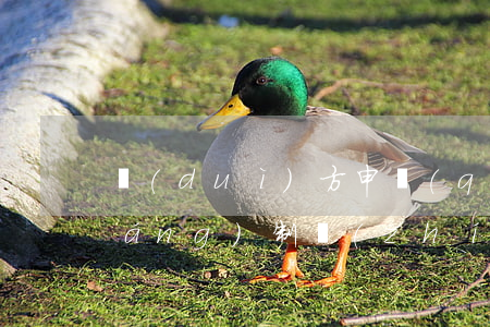 對(duì)方申請(qǐng)強(qiáng)制執(zhí)行后還可以再次協(xié)商還款么-對(duì)方申請(qǐng)強(qiáng)制執(zhí)行后還可以再次協(xié)商還款么