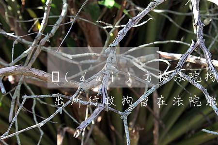 對(duì)方被法院拘留可以查到嗎(被派出所行政拘留在法院能查到嗎)