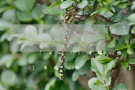 對(duì)方起訴借錢沒錢還(對(duì)方起訴借錢沒錢還了怎么辦)