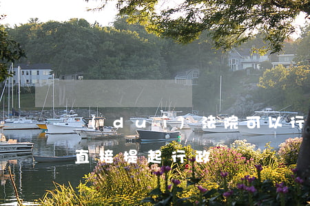 對(duì)法院可以行政訴訟嗎(可不可以直接提起行政訴訟)