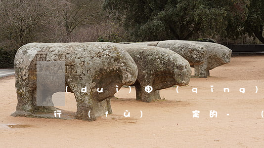 對(duì)申請(qǐng)逾期又不履行復(fù)議決定的-對(duì)申請(qǐng)逾期又不履行復(fù)議決定的情形
