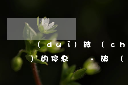 對(duì)破產(chǎn)企業(yè)的停息掛賬-破產(chǎn)停息規(guī)定