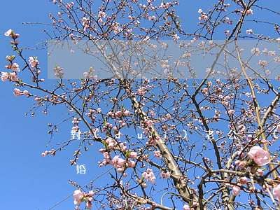 對(duì)老公沒(méi)感情了想離婚