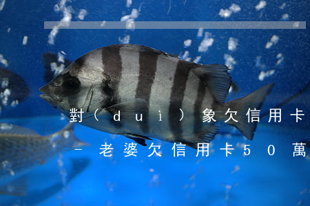 對(duì)象欠信用卡50萬(wàn)-老婆欠信用卡50萬(wàn),老公有責(zé)任嗎
