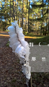 對(duì)象欠很多網(wǎng)貸(欠那些網(wǎng)貸會(huì)比較嚴(yán)重)
