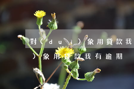 對(duì)象用貸款我有逾期(對(duì)象用貸款我有逾期)