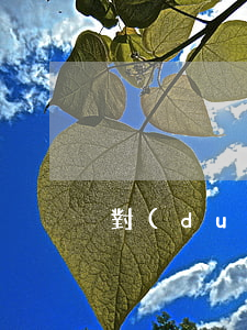 對(duì)貨運(yùn)事故如何處理