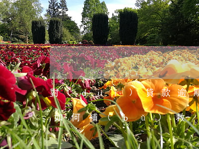 對(duì)貸款逾期的處理方法(貸款逾期如何補(bǔ)救)