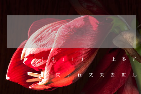 對(duì)賬單上多了“擔(dān)保人”三字，女子在丈夫去世后莫名背債