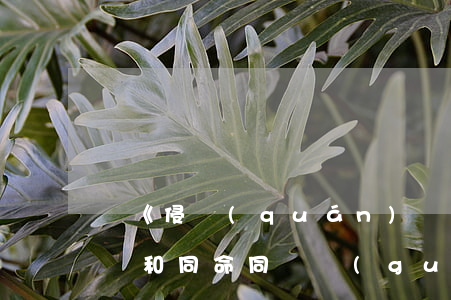 對《侵權(quán)責任法》精神損失賠償和同命同價規(guī)定的解讀