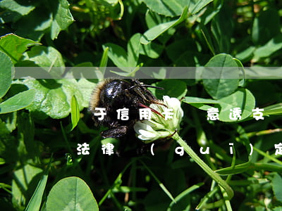 對于信用卡惡意透支處罰(信用卡惡意透支的法律規(guī)定)