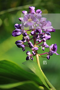 對于借錢不還的老賴怎樣起訴(中國法律對老賴借錢不還怎么辦)