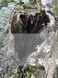 對于客戶逾期不提貨的反制措施-對于客戶逾期不提貨的反制措施有哪些