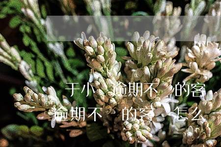 對于小貸逾期不還的客戶怎么辦-對于小貸逾期不還的客戶怎么辦呢