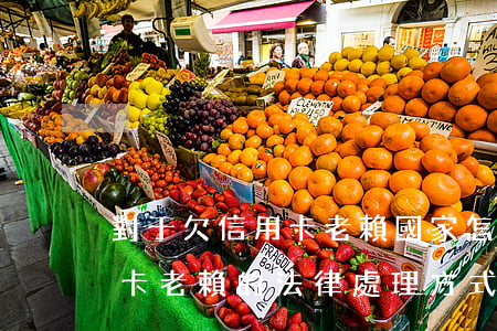 對于欠信用卡老賴國家怎么處理，探討欠信用卡老賴的法律處理方式