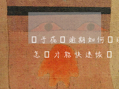 對于花唄逾期如何處理(花唄逾期被限制使用怎樣才能快速恢復)