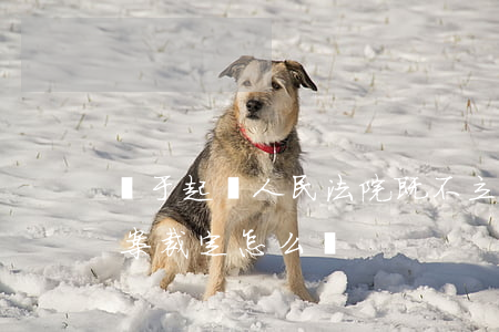 對于起訴人民法院既不立案又不做出不予立案裁定怎么辦
