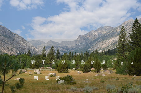 對于逾期還款的規(guī)定(什么叫做逾期還款)